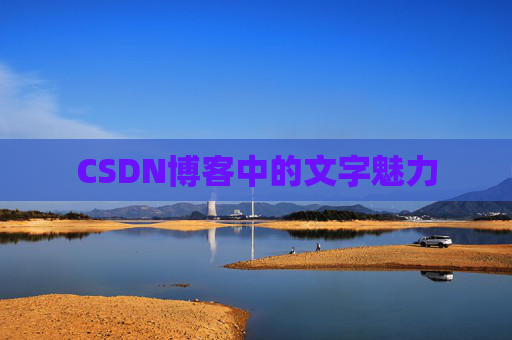 CSDN博客中的文字魅力